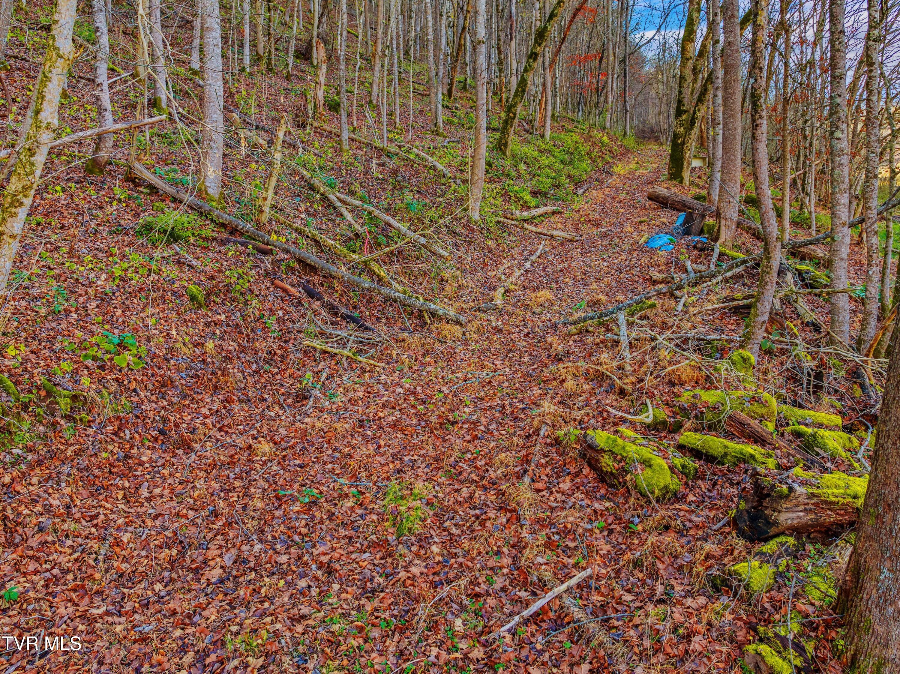 Horton Ford Road, Eidson, Tennessee image 10