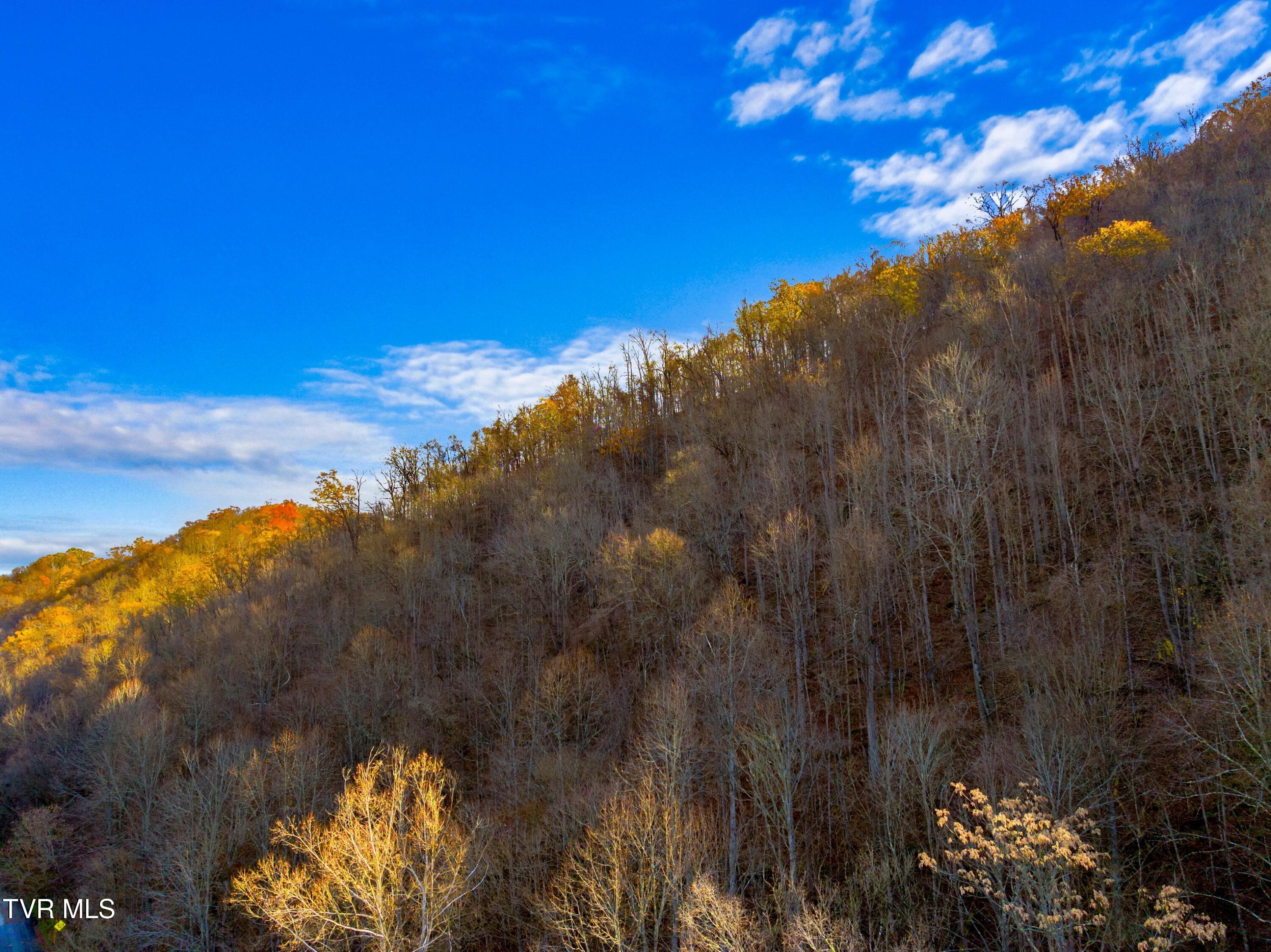 Horton Ford Road, Eidson, Tennessee image 16
