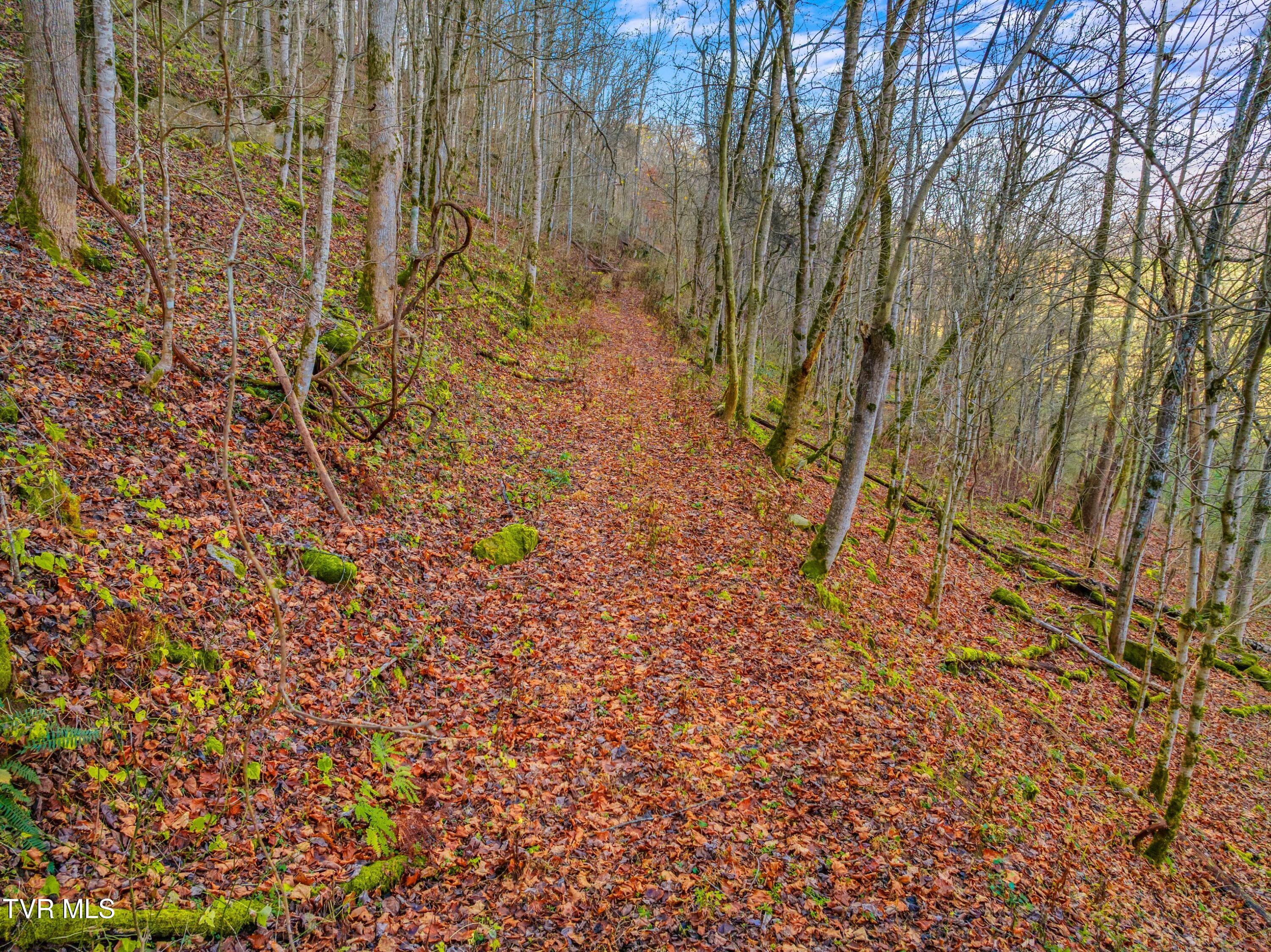 Horton Ford Road, Eidson, Tennessee image 12