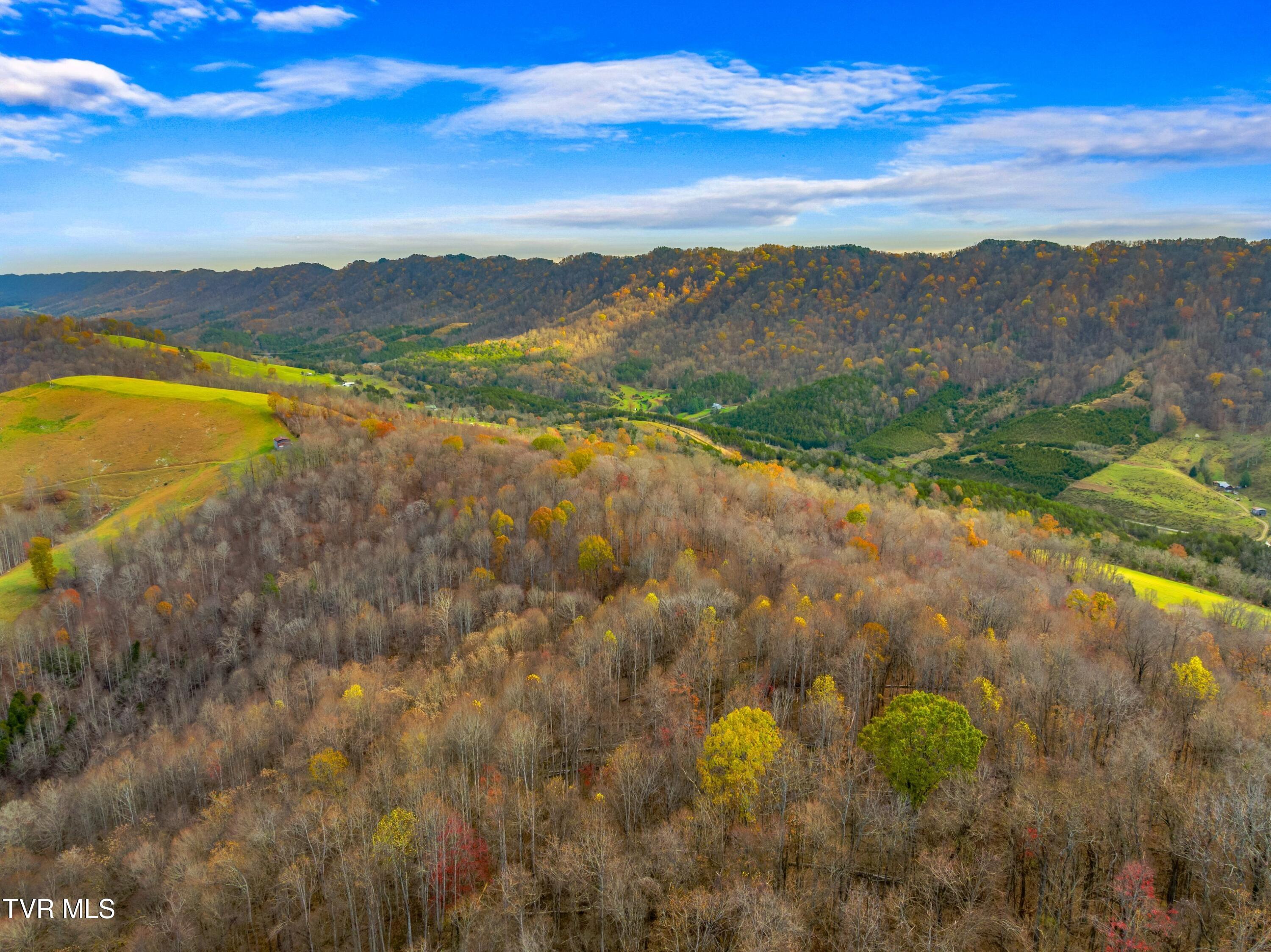 Horton Ford Road, Eidson, Tennessee image 23