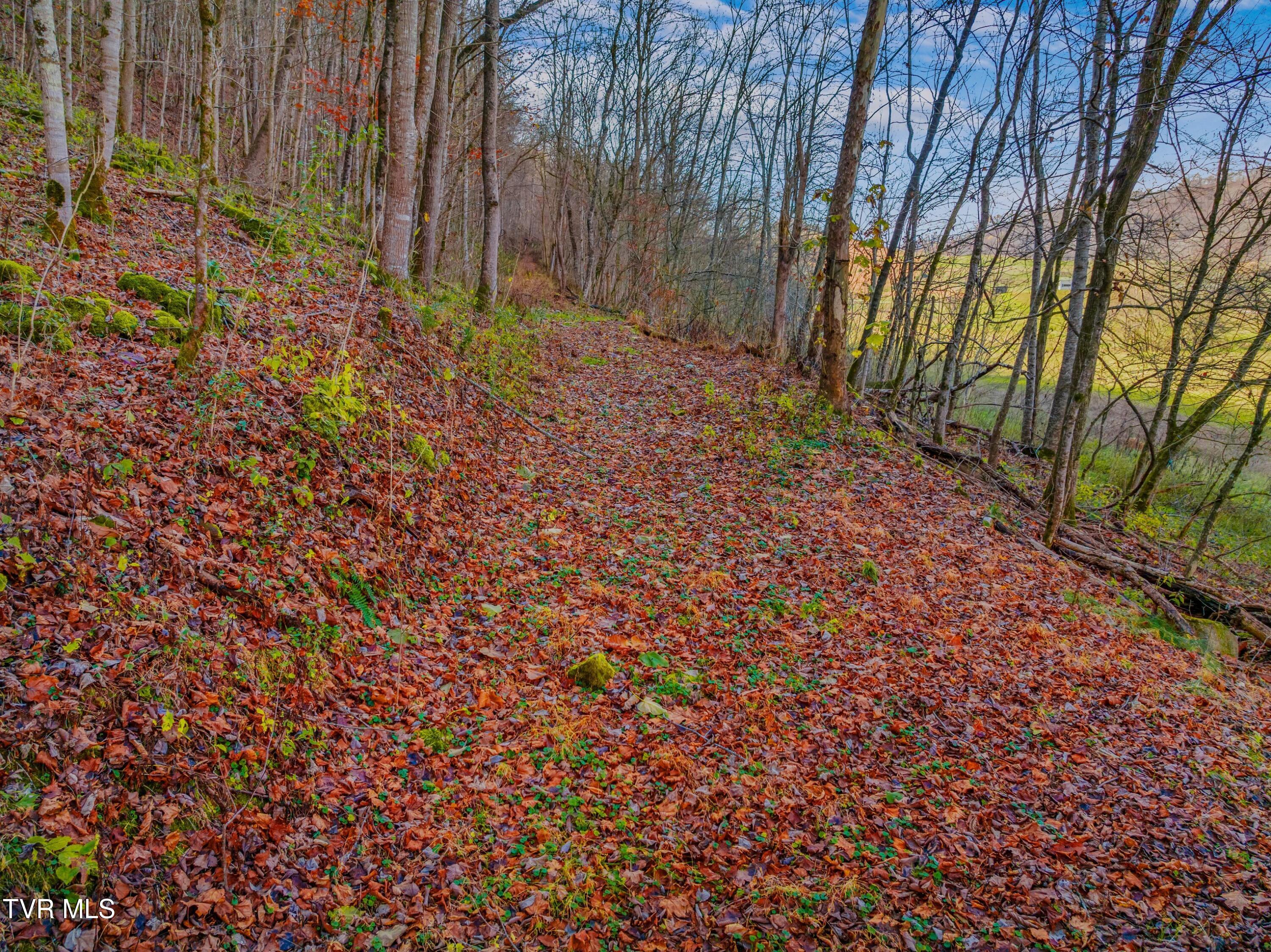 Horton Ford Road, Eidson, Tennessee image 11