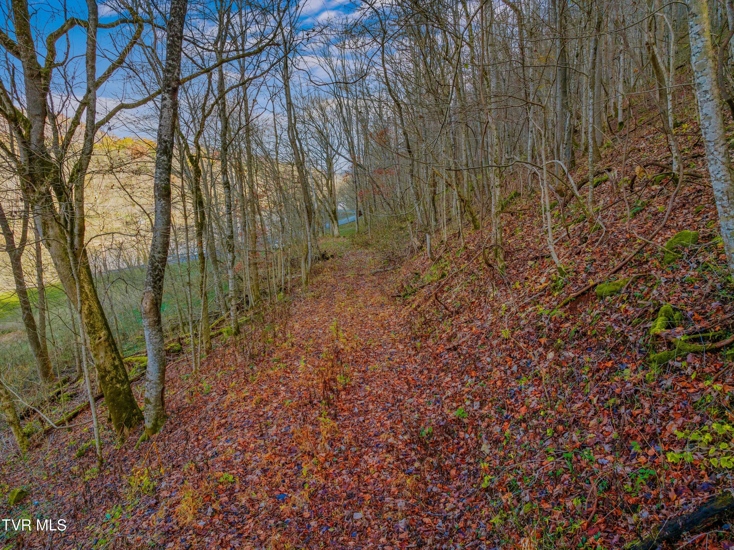 Horton Ford Road, Eidson, Tennessee image 9