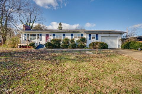 Photo of 107 College View Drive, Greeneville, TN 37745 (MLS # 9989203)