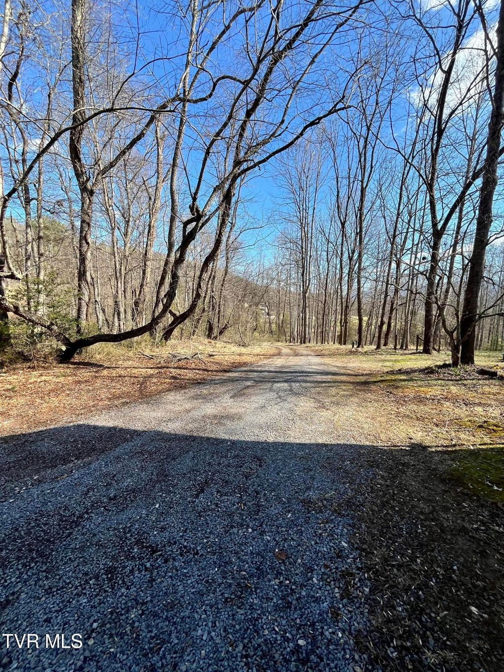 Photo of 179 Carl Taylor Drive, Elizabethton, TN 37643 (MLS # 9992151)