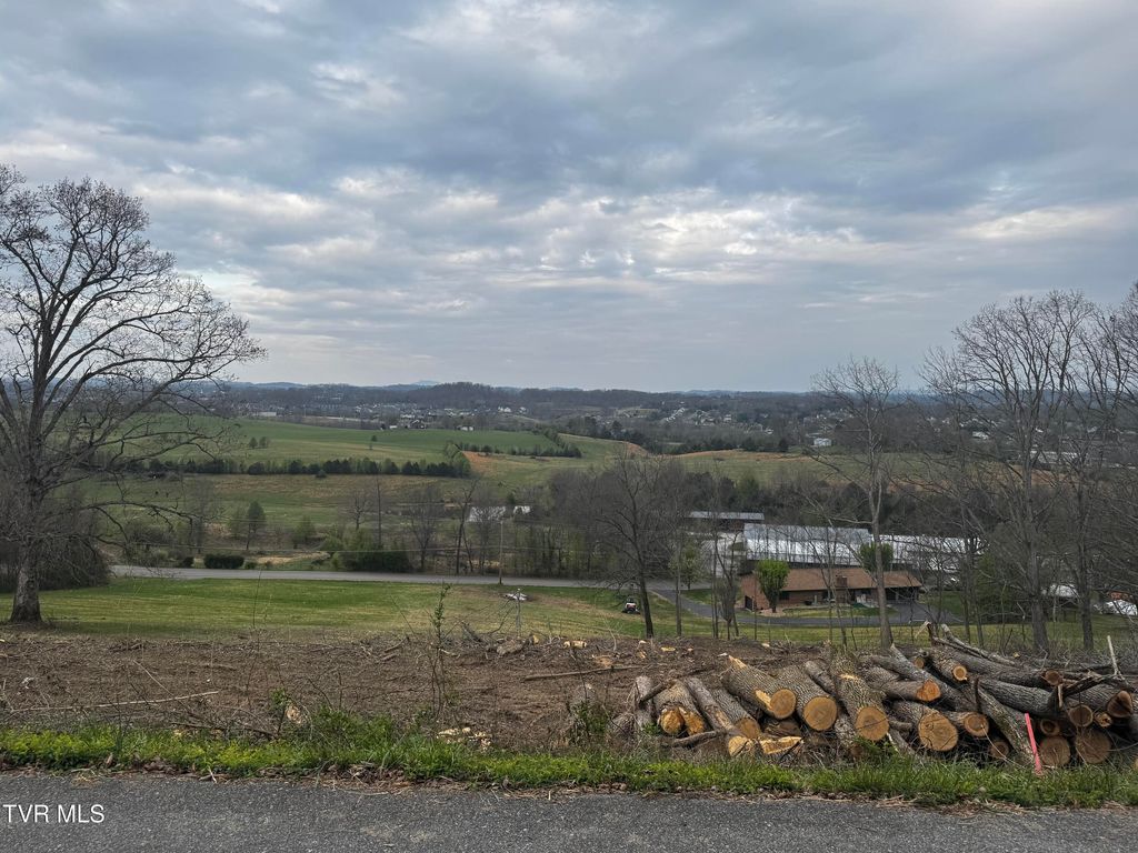 Photo of Tbd Free Hill Extension, Johnson City, TN 37615 (MLS # 9992948)