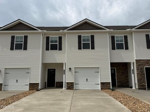 Townhouse For Sale - 148 Holt Way Way<br/> Blountville, TN 37617