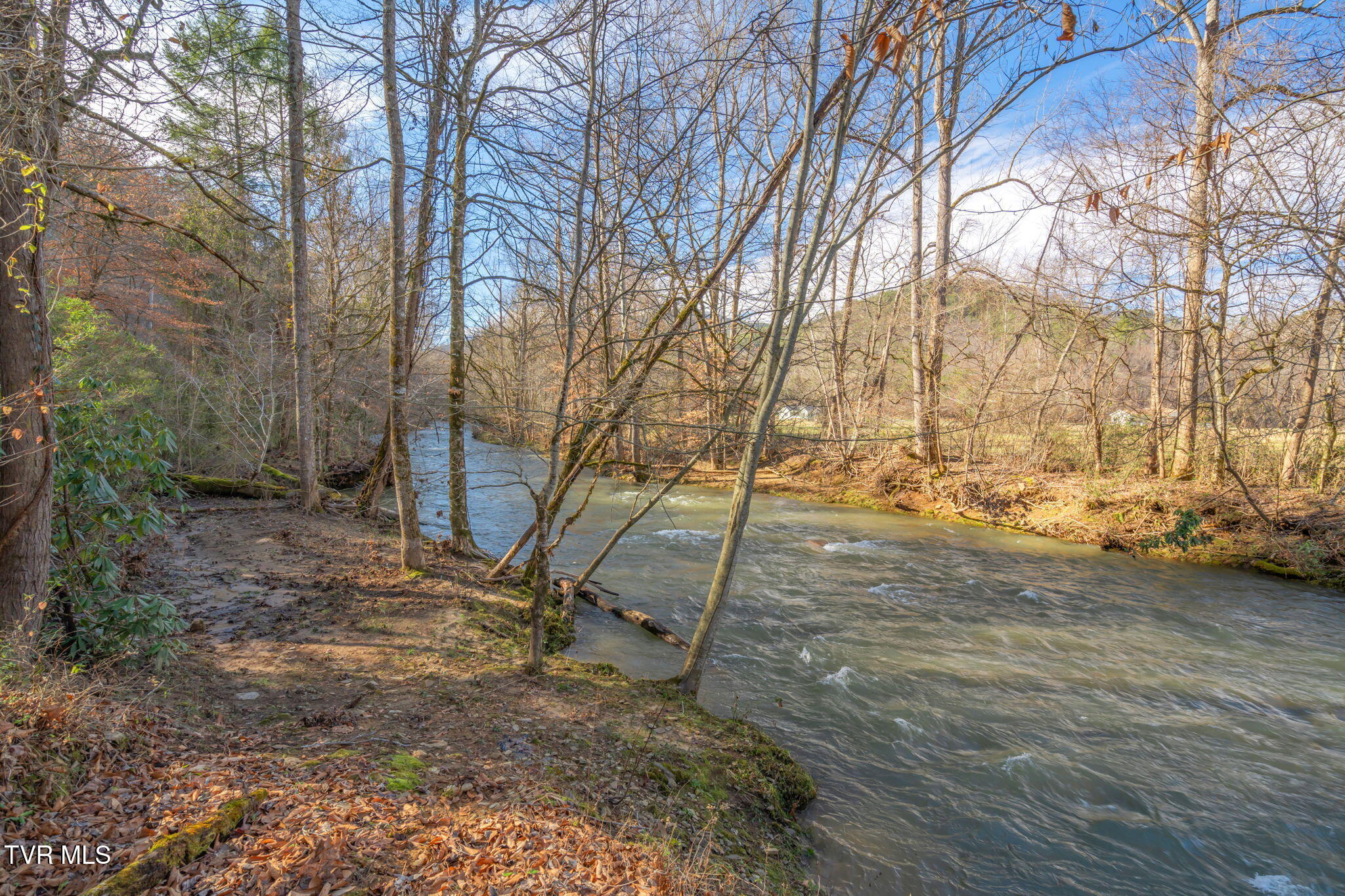 404 Kaylees Loop Road, Del Rio, Tennessee image 5