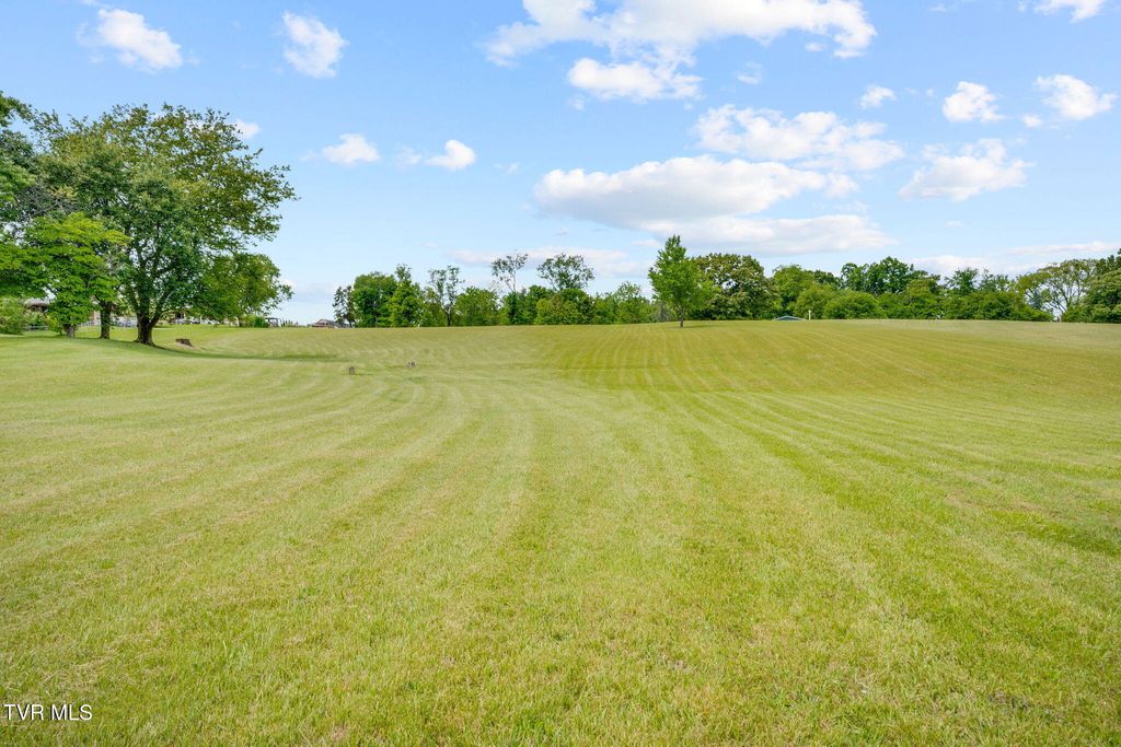Photo of 0 Emmert Street, Greeneville, TN 37745 (MLS # 9994977)