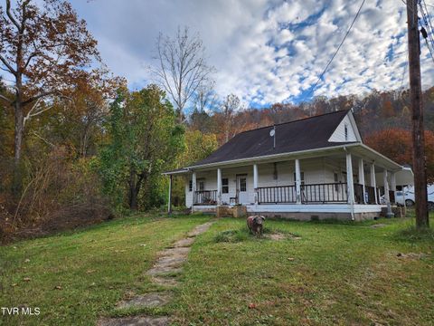 Homes For Sale - 169 J And M Belcher Drive<br/> Dickenson County, Haysi, VA 24256