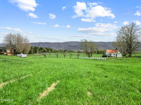 Vacant Land For Sale - TRACT 2 Red Hill Road<br/> Greeneville, TN 37743