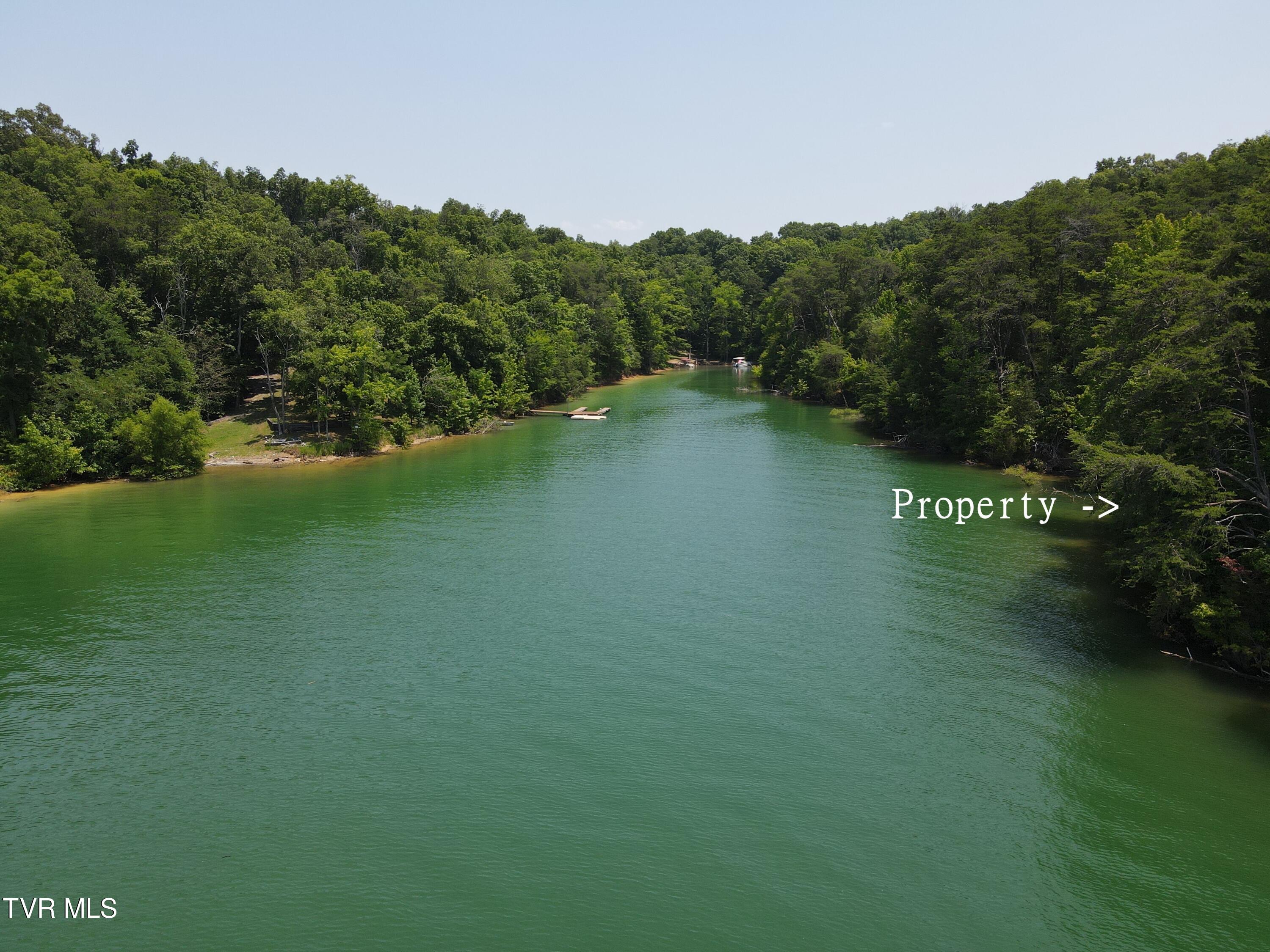 Tbd Needles Way, Sevierville, Tennessee image 7