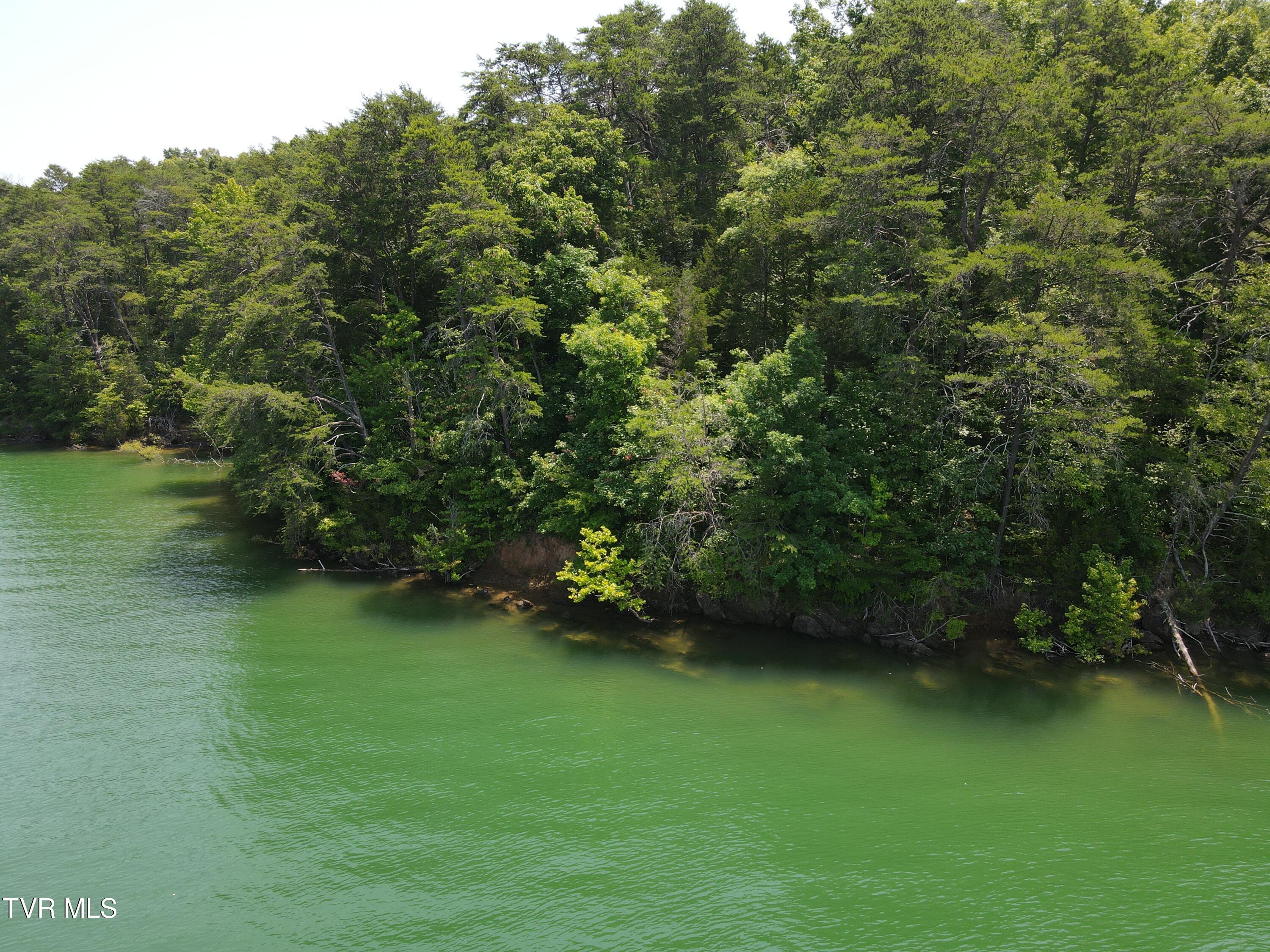 Tbd Needles Way, Sevierville, Tennessee image 3