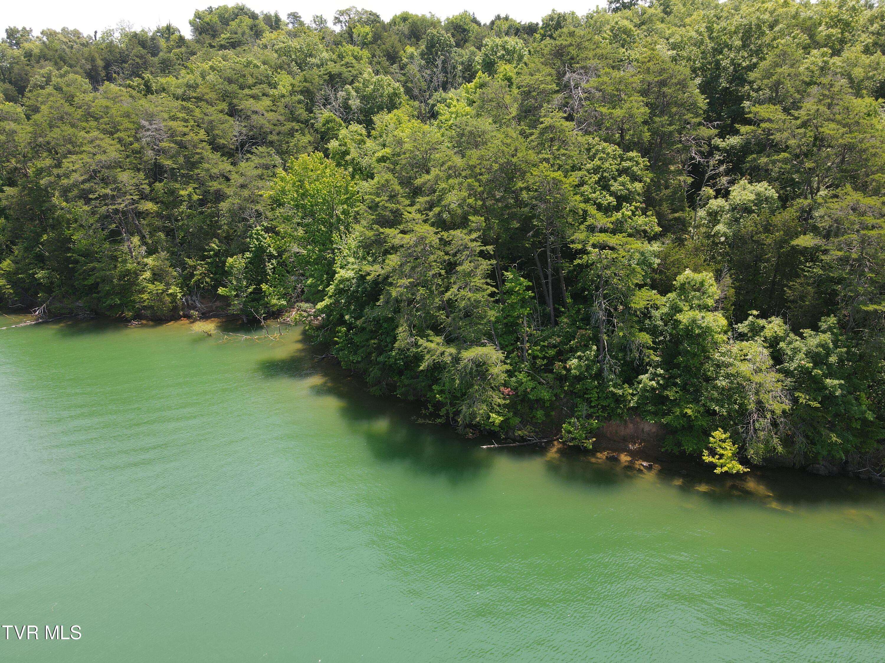 Tbd Needles Way, Sevierville, Tennessee image 9