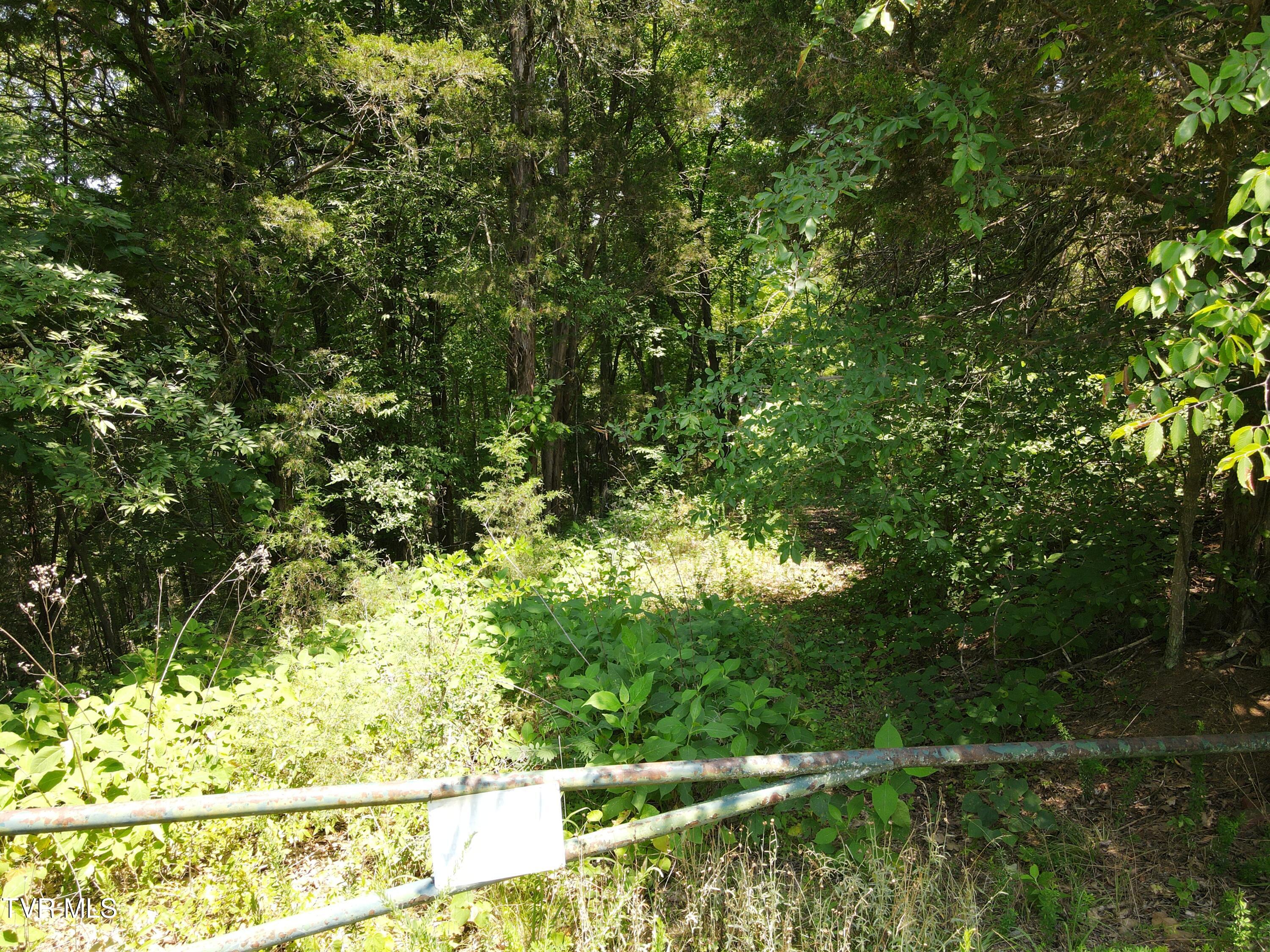 Tbd Needles Way, Sevierville, Tennessee image 4