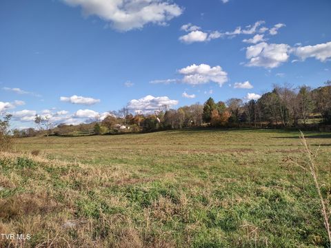 Vacant Land For Sale - TBD Springfield Drive<br/> Meadowview, VA 24361