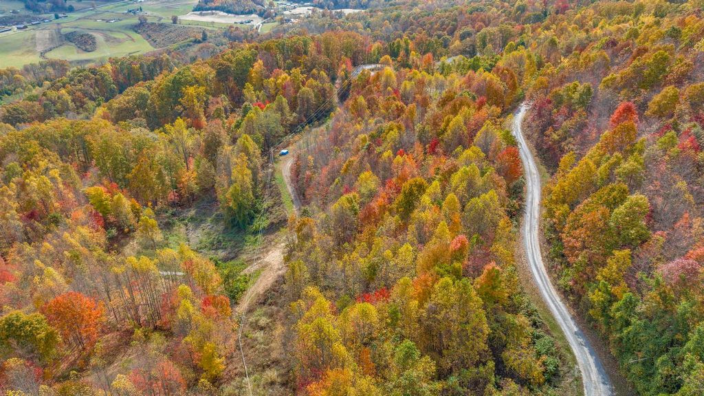 Photo of Tbd Majestic Lot 13 Drive, Duffield, VA 24244 (MLS # 9958693)