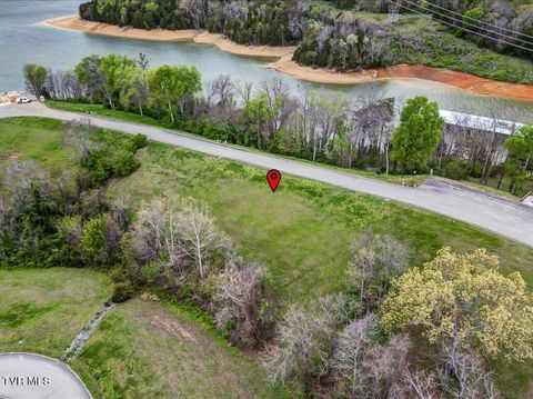 Vacant Land For Sale - 2073 Turners Landing Road<br/> Russellville, TN 37860