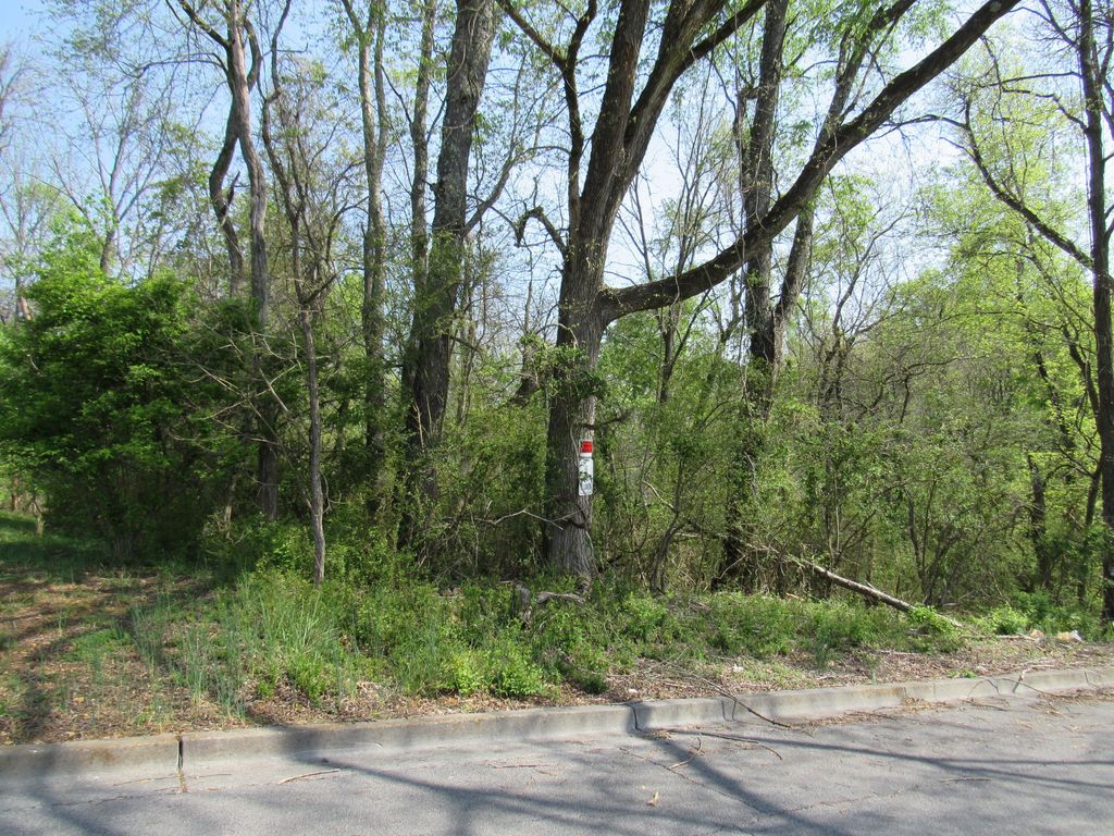 Photo of 3501 Mellon Street, Kingsport, TN 37660 (MLS # 9936775)