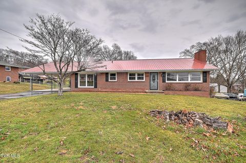Photo of 129 Thompson Street, Kingsport, TN 37660 (MLS # 9991796)