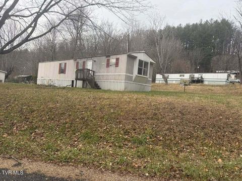 Photo of 40094025 Inby Lane, Big Stone Gap, VA 24219 (MLS # 9995182)