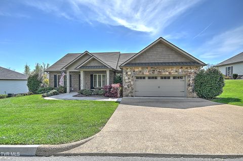 Photo of 846 Vines Farm Lane, Jonesborough, TN 37659 (MLS # 9993925)