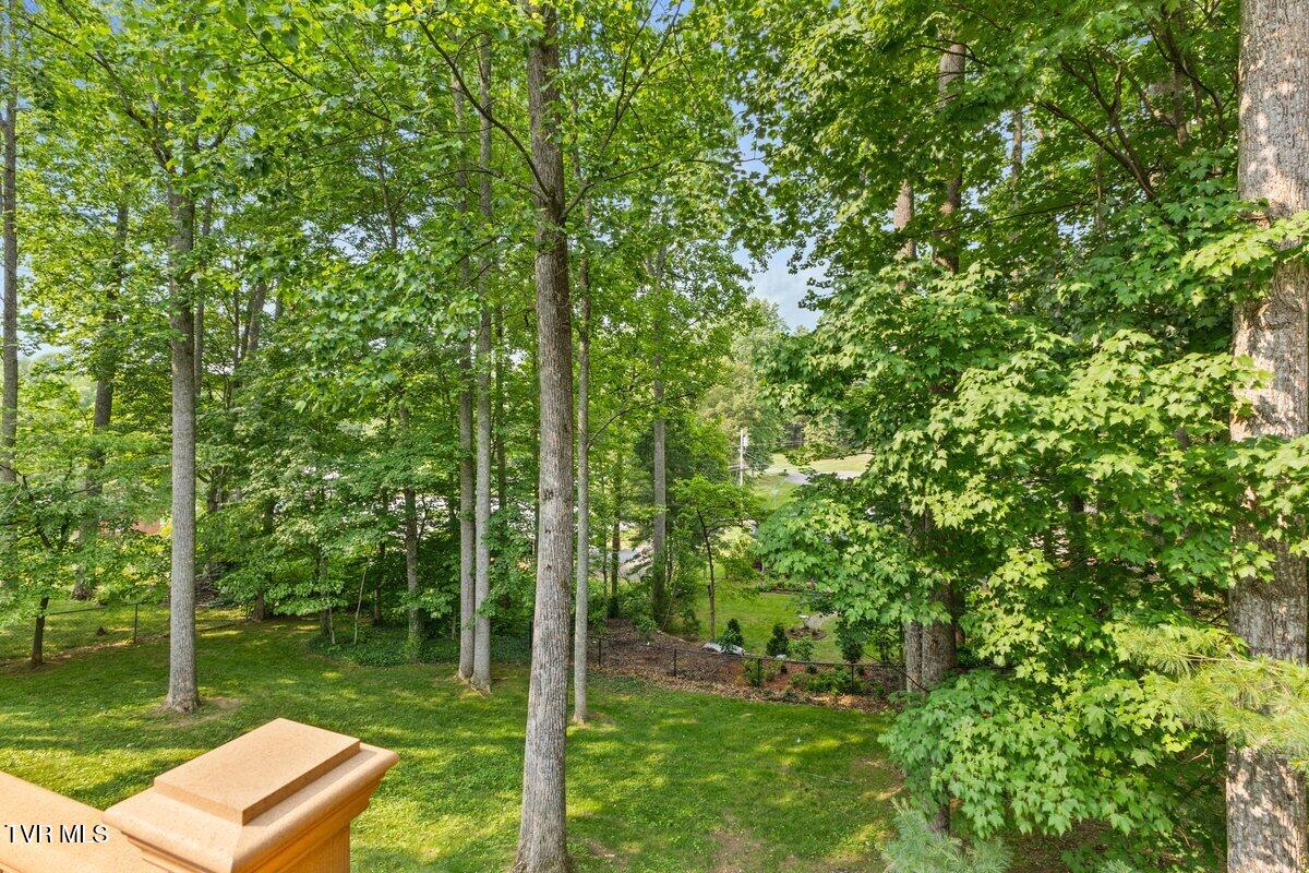 2 Mistletoe Court, Johnson City, Tennessee image 6