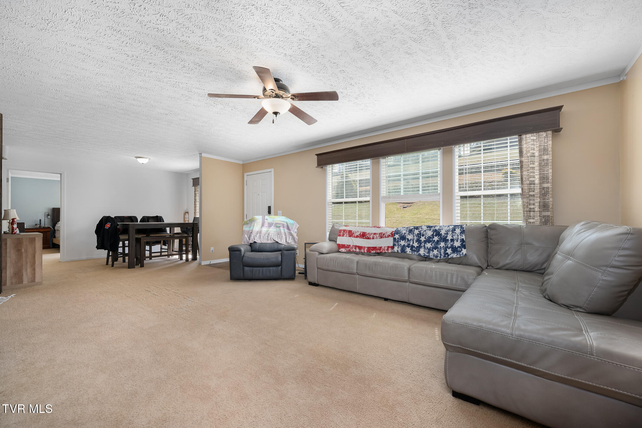 819 Mohawk Drive, Erwin, Tennessee image 23