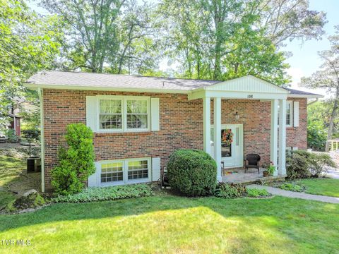 Photo of 108 Alpine Circle, Greeneville, TN 37743 (MLS # 9982901) Photo of 108 Alpine Circle, Greeneville, TN 37743 (MLS # 9982901)
