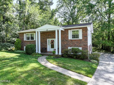 Photo of 108 Alpine Circle, Greeneville, TN 37743 (MLS # 9982901)