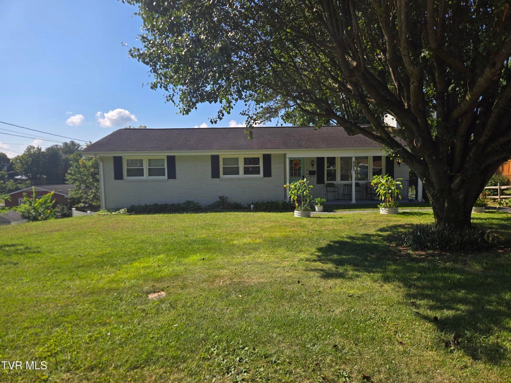 Photo of 503 Longview Drive, Johnson City, TN 37604 (MLS # 10000379)