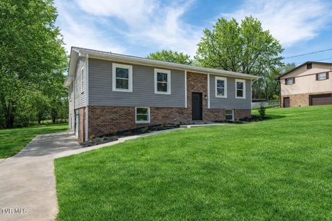 Photo of 226 Dorothy Circle, Limestone, TN 37681 (MLS # 9992777)