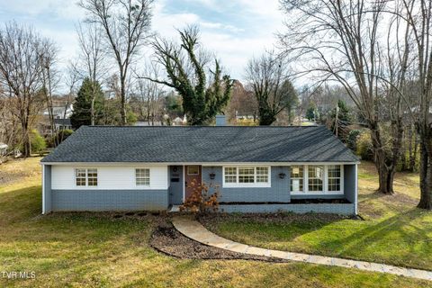 Photo of 1000 Althea Street, Johnson City, TN 37601 (MLS # 9988648)