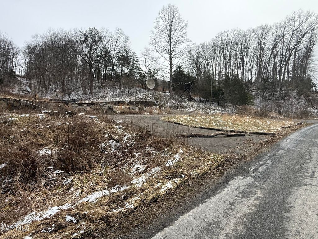 Photo of 29188 Chestnut Ridge Road, Meadowview, VA 24361 (MLS # 9991541)