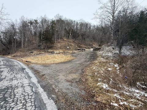 Vacant Land For Sale - 29188 Chestnut Ridge Road<br/> Meadowview, VA 24361