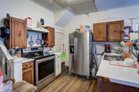 Tiny photo for 315 Love Street, Erwin, TN 37650 (MLS # 9986473)