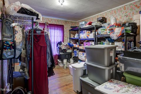 Tiny photo for 315 Love Street, Erwin, TN 37650 (MLS # 9986473)