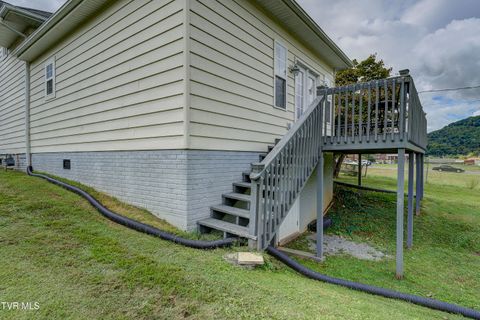 Tiny photo for 315 Love Street, Erwin, TN 37650 (MLS # 9986473)