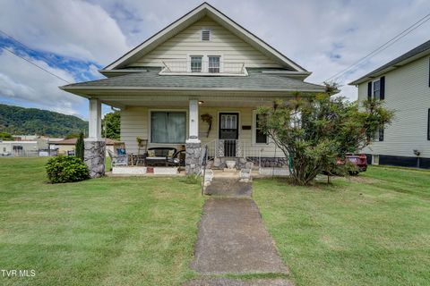 Photo of 315 Love Street, Erwin, TN 37650 (MLS # 9986473)