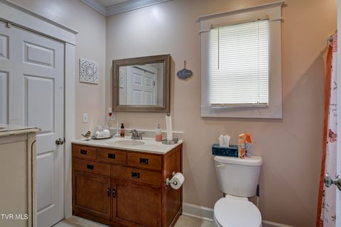Tiny photo for 315 Love Street, Erwin, TN 37650 (MLS # 9986473)