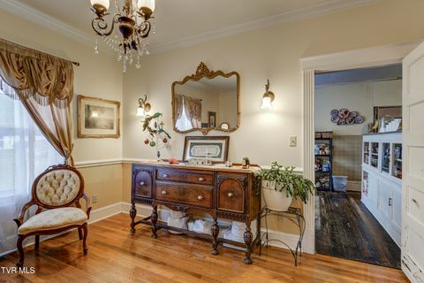 Tiny photo for 315 Love Street, Erwin, TN 37650 (MLS # 9986473)
