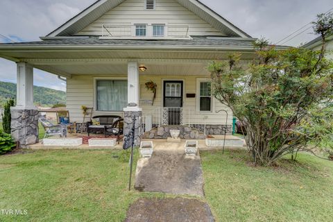 Tiny photo for 315 Love Street, Erwin, TN 37650 (MLS # 9986473)