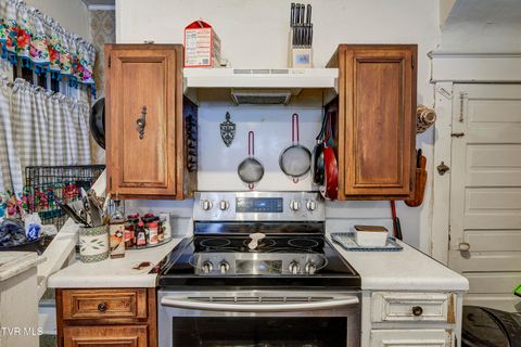 Tiny photo for 315 Love Street, Erwin, TN 37650 (MLS # 9986473)