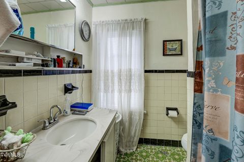 Tiny photo for 315 Love Street, Erwin, TN 37650 (MLS # 9986473)