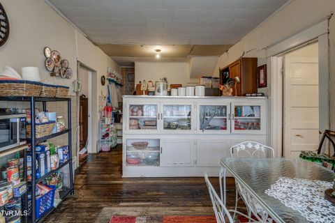Tiny photo for 315 Love Street, Erwin, TN 37650 (MLS # 9986473)