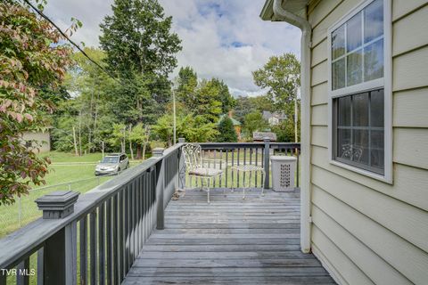 Tiny photo for 315 Love Street, Erwin, TN 37650 (MLS # 9986473)