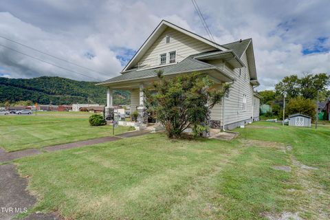 Tiny photo for 315 Love Street, Erwin, TN 37650 (MLS # 9986473)