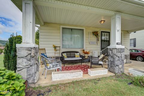 Tiny photo for 315 Love Street, Erwin, TN 37650 (MLS # 9986473)
