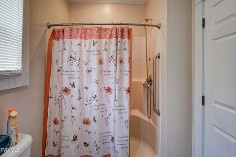 Tiny photo for 315 Love Street, Erwin, TN 37650 (MLS # 9986473)