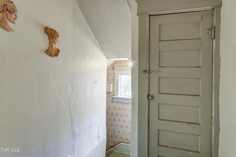 Tiny photo for 315 Love Street, Erwin, TN 37650 (MLS # 9986473)