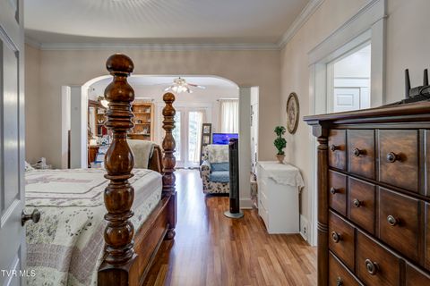 Tiny photo for 315 Love Street, Erwin, TN 37650 (MLS # 9986473)